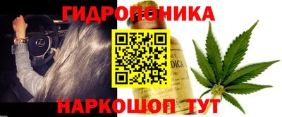 ешки Дубна