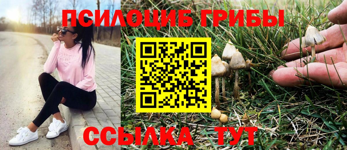 Галлюциногенные грибы мухоморы  Вход с VPN  Мелеуз 
